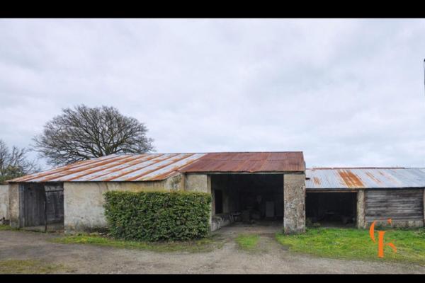 Chalet + 2 bâtisses à rénover + hangar