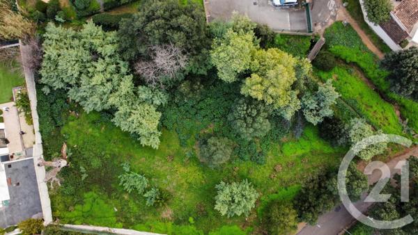 Terrain à vendre  1230 m2 CAVALAIRE SUR MER - 83