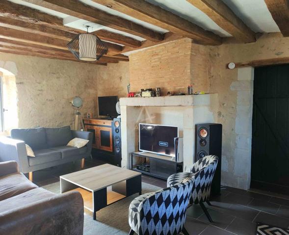 Immeuble ancien rénové  Idéal investissement locatif