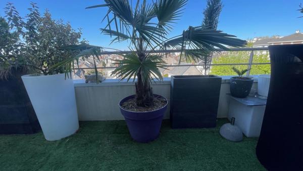 Appartement T4 familial de standing avec terrasse et double garage à Tours