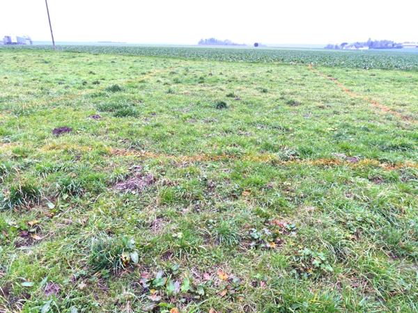 Bureau 2 pièces - 54 m² Exclusivité efficity