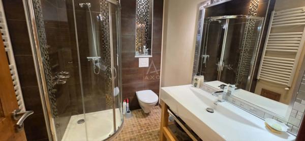 ALBERTVILLE SAINT-SIGISMOND (73200) – LE CHARME D'UNE MAISON DE VILLE AVEC COUR ET TERRASSE PRIVATIVES