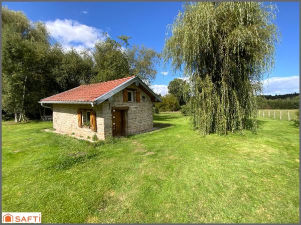 ANCIENNE FERME RENOVEE , HAVRE DE PAIX , TERRAIN PLAT ET ARBORE 3400 M2, GRAND GARAGE