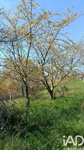 Terrain à vendre 14 515 m² Ricaud