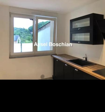 APPARTEMENT LUMINEUX- 2 CHAMBRES- PROCHE GARES ET FRONTIERES