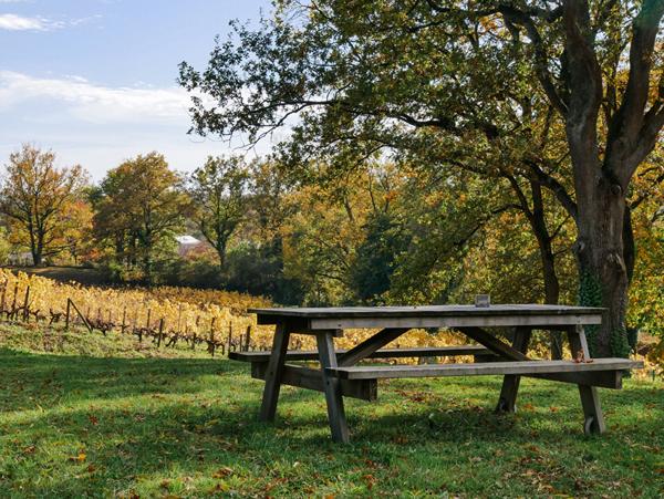Élégante propriété familiale de 280m² avec vue sur les vignes, à 25 minutes d'Angers Sud