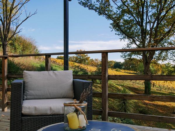 Élégante propriété familiale de 280m² avec vue sur les vignes, à 25 minutes d'Angers Sud