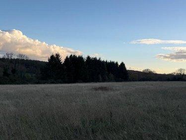 Terrain de loisirs - Bois - Etang à vendre à Saint-Germain-d'Aunay dans l'Orne (61470), ref : 14058-1551