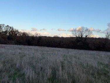 Terrain de loisirs - Bois - Etang à vendre à Saint-Germain-d'Aunay dans l'Orne (61470), ref : 14058-1551