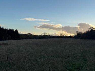 Terrain de loisirs - Bois - Etang à vendre à Saint-Germain-d'Aunay dans l'Orne (61470), ref : 14058-1551