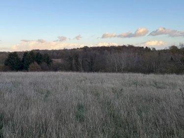 Terrain de loisirs - Bois - Etang à vendre à Saint-Germain-d'Aunay dans l'Orne (61470), ref : 14058-1551