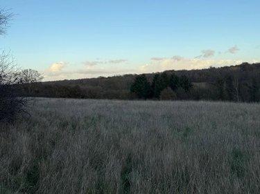 Terrain de loisirs - Bois - Etang à vendre à Saint-Germain-d'Aunay dans l'Orne (61470), ref : 14058-1551