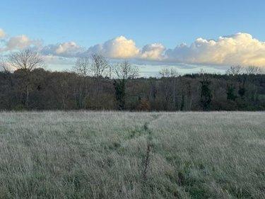 Terrain de loisirs - Bois - Etang à vendre à Saint-Germain-d'Aunay dans l'Orne (61470), ref : 14058-1551