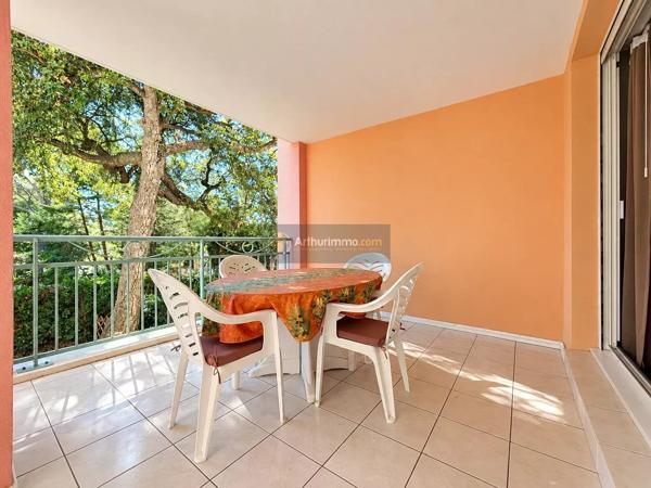 Vente                                                      Appartement
                        
                     2 pièces                      34 m2                     à Saint-Aygulf