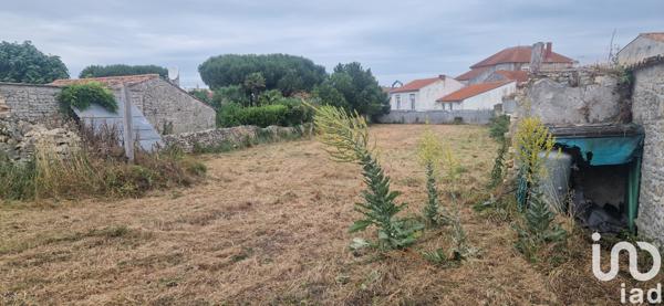 Terrain à vendre 871 m² Sainte-Marie-de-Ré
