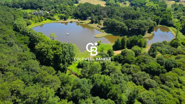 Propriété 8 pièces à vendre Angresse - 40150 / Réf: SR1-294