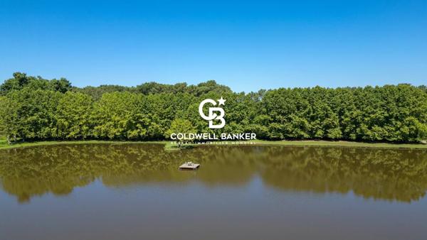 Propriété 8 pièces à vendre Angresse - 40150 / Réf: SR1-294