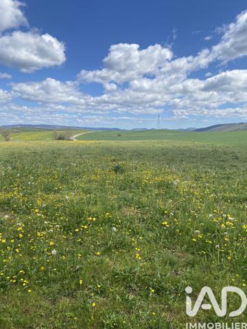 Terrain à vendre 1 656 m² Belmont-sur-Rance
