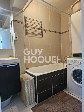 Appartement 3/4 pièces meublé - Maisons-Alfort Centre-Vert de Maison