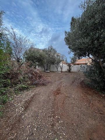 Terrain secteur Marvivo