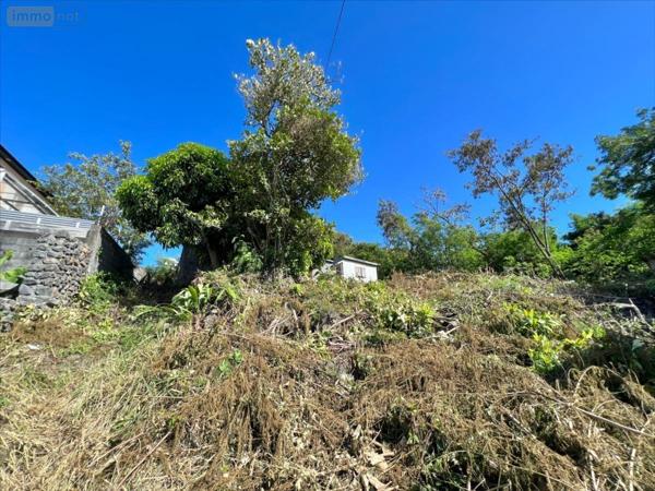 Terrain à Batir à vendre à Saint-Pierre à la Réunion (97410), ref : 19417