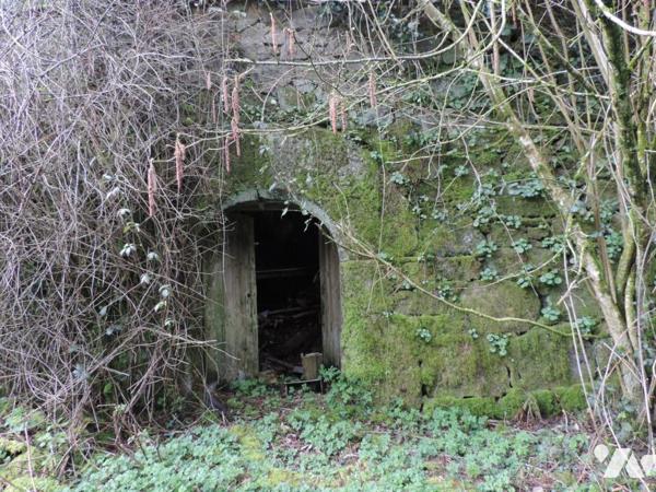 MAISON A RESTAUREE ANTIEREMENT 