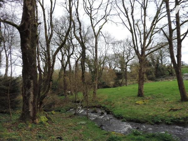 MAISON A RESTAUREE ANTIEREMENT 