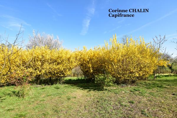 Maison à vendre 6 pièces MONTCOMBROUX LES MINES (03)