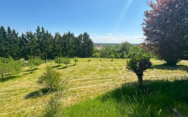 Maison à vendre    6 pièces •  Piquecos