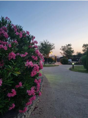 Appartement à vendre 3 pièces SAINT REMY DE PROVENCE (13)