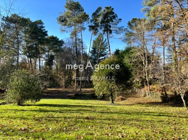 Terrain à CHANCELADE, 24650 - 1450m²