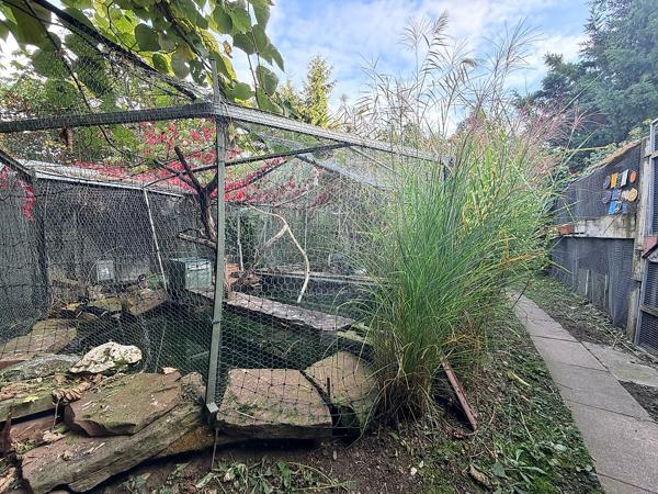 Maison  en vente - Haut-Rhin - 68