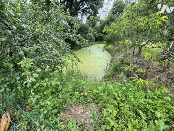 SAINT LEGER LES VIGNES - MAISON DE 126m² sur terrain de 5879M² avec HANGAR d'environ 300m²