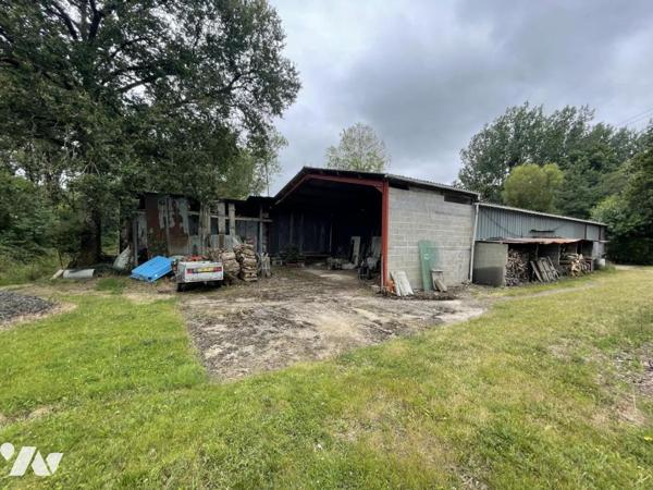 SAINT LEGER LES VIGNES - MAISON DE 126m² sur terrain de 5879M² avec HANGAR d'environ 300m²