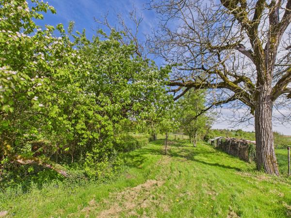 Arbourse (58350) À vendre – Maison de campagne à Arbourse
