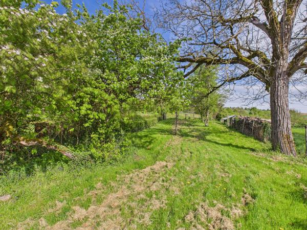 Arbourse (58350) À vendre – Maison de campagne à Arbourse