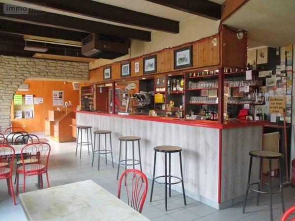 Fonds et/ou murs commerciaux à vendre à Carnoët dans les Côtes-d'Armor (22160), ref : 29064-349094