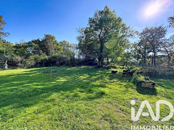 Location maison 3 pièces 80 m² Le Bono