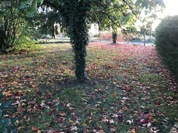 Garage - Parking à vendre à Torcé-en-Vallée dans la Sarthe (72110), ref : 079/1999