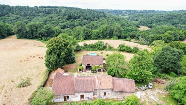 Maison et dépendances au calme, piscine sur 7000 m² de terrain