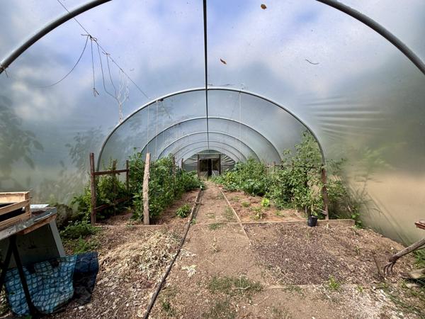Maison et dépendances au calme, piscine sur 7000 m² de terrain