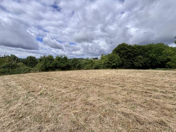 Maison et dépendances au calme, piscine sur 7000 m² de terrain