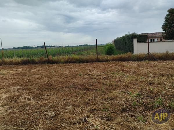 Vente terrain Pauillac : 89 690 € - AJP Pauillac Immobilier