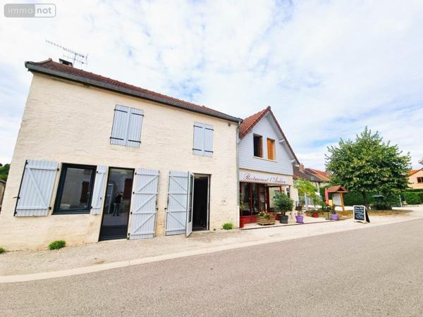 Fonds et/ou murs commerciaux à vendre à Cunfin dans l'Aube (10360), ref : 10043-314