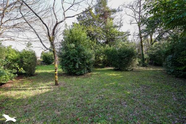 Maison à vendre 234 300 € Barbezieux-Saint-Hilaire 16 p 342 m² DPE E