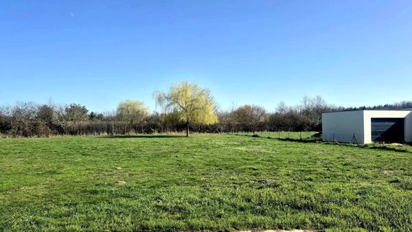 Vente Terrain 1400 m2 à Moncé-en-Belin
