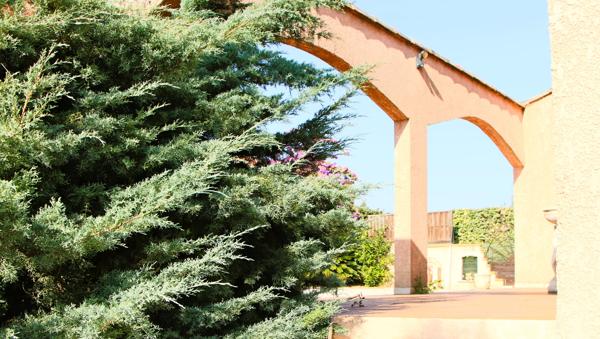 Maison 3 pièces - 82 m² Exclusivité efficity