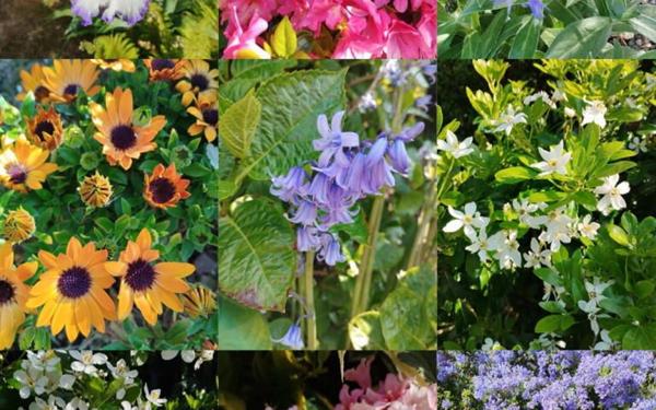 Maison à vendre    5 pièces •  Querqueville