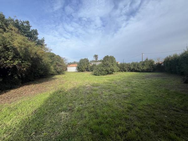 Terrain à vendre |  Saint-Denis-d'Oléron |  982 m²
