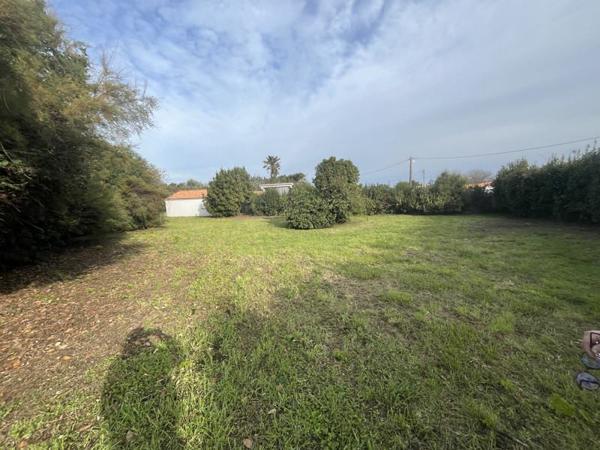 Terrain à vendre |  Saint-Denis-d'Oléron |  982 m²